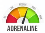 Adrenaline gauge